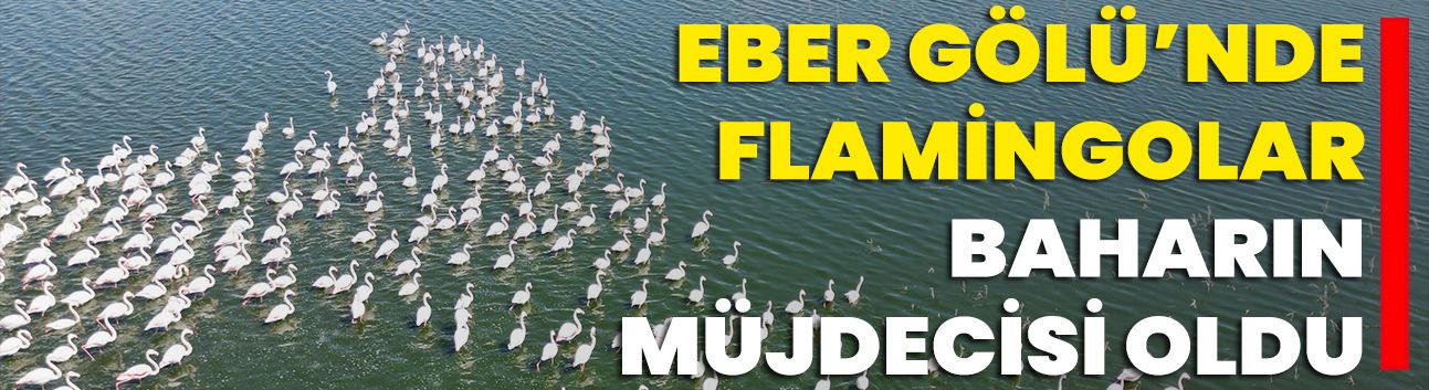 Eber Gölü’nde Flamingolar, Baharın Müjdecisi Oldu
