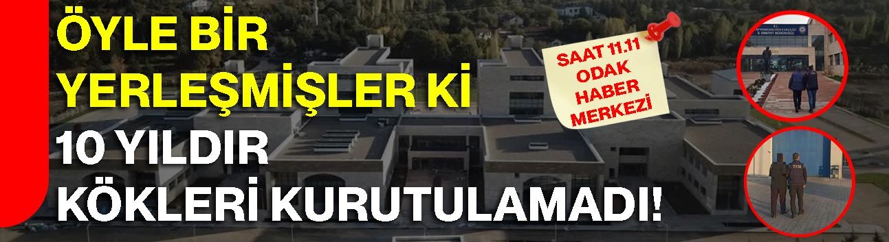Öyle Bir Yerleşmişler Ki 10 Yıldır Kökleri Kurutulamadı!