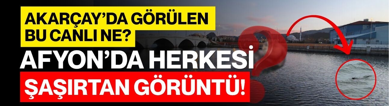 Akarçay’da görülen bu canlı ne? Afyon’da herkesi şaşırtan görüntü!