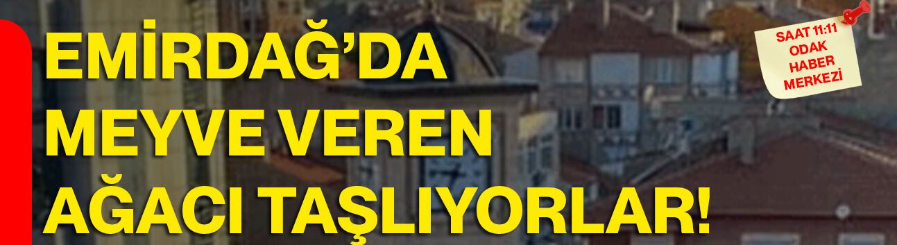 Emirdağ’da meyve veren ağacı taşlıyorlar!