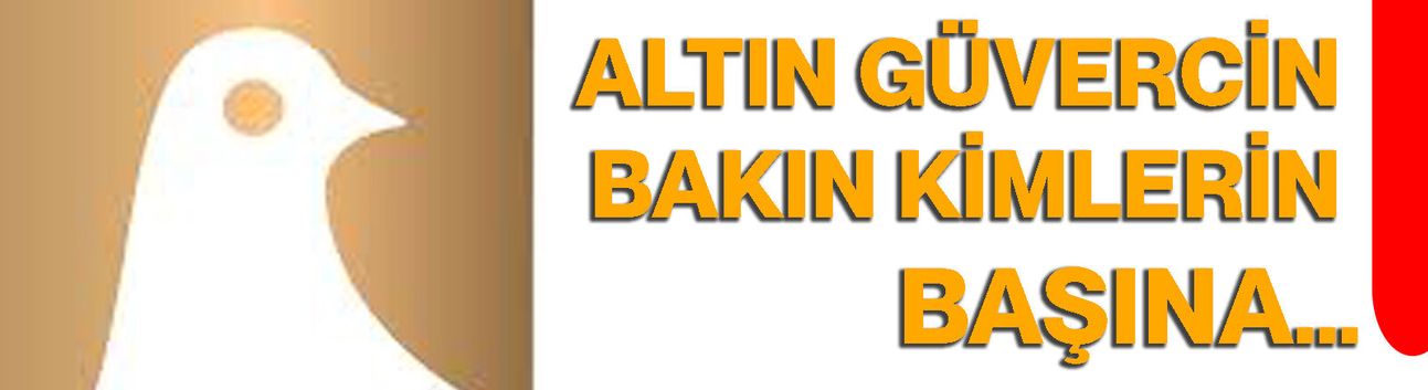 Altın güvercin bakın kimlerin başına…